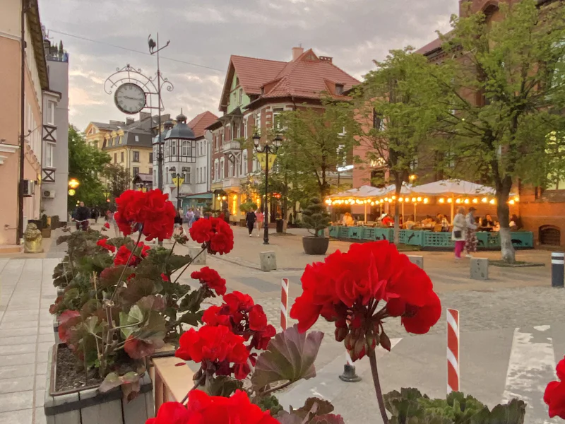 Тропы, пляжи и поселки Куршской косы и Зеленоградск в минигруппе — фото 5, Зеленоградск | Покатаем