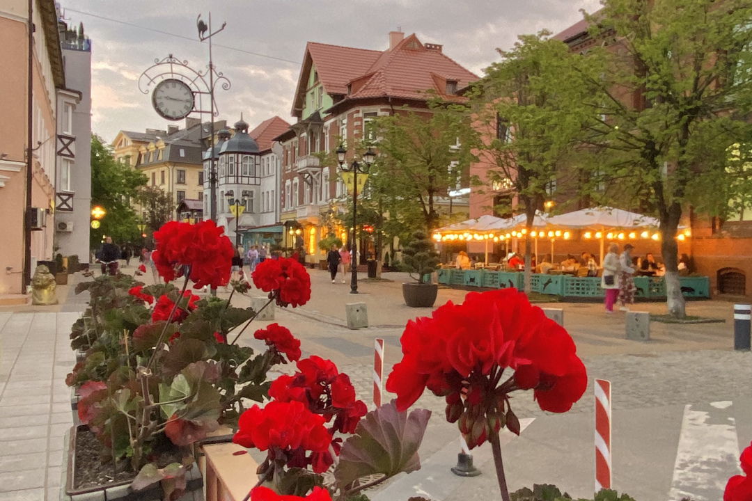 Тропы, пляжи и поселки Куршской косы и Зеленоградск в минигруппе — фото 4