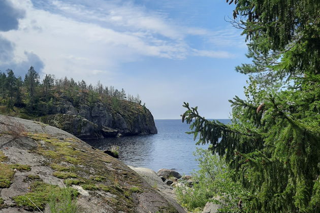 Знакомство с Приладожьем и рыбалка на лесном озере