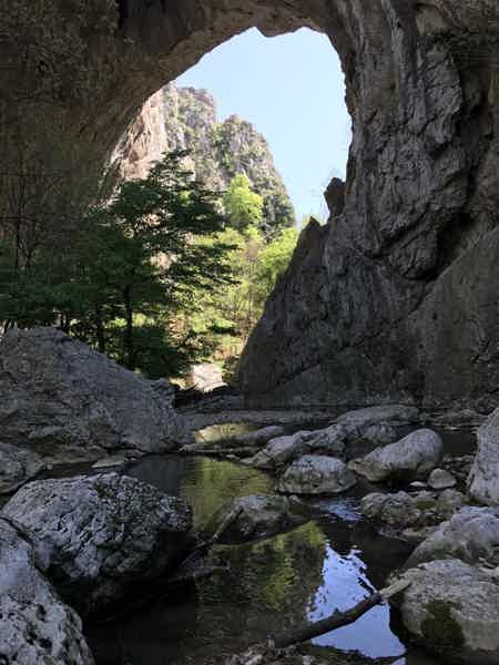 Манасия — Ресавская пещера — парк природы Лисинэ - фото 5