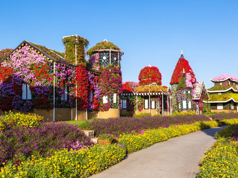 Парк цветов Miracle Garden и всемирная ярмарка Global Village из Фуджейры — фото 7, Фуджейра | Покатаем