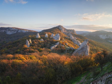 Ботанический сад Таврического университета