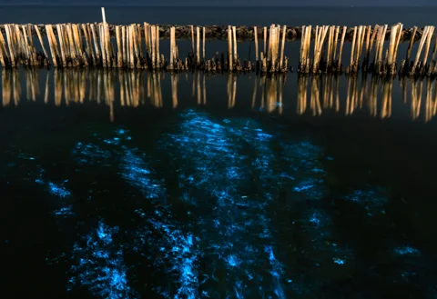 Биолюминесцентный планктон в заливе Пханг Нга на каноэ (трансфер на выбор)