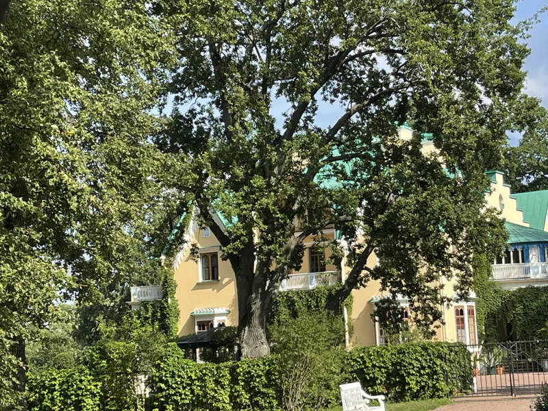 В знаменитый парк Петергофа – Александрию на комфортабельном автомобиле — фото 5, Санкт-Петербург | Покатаем