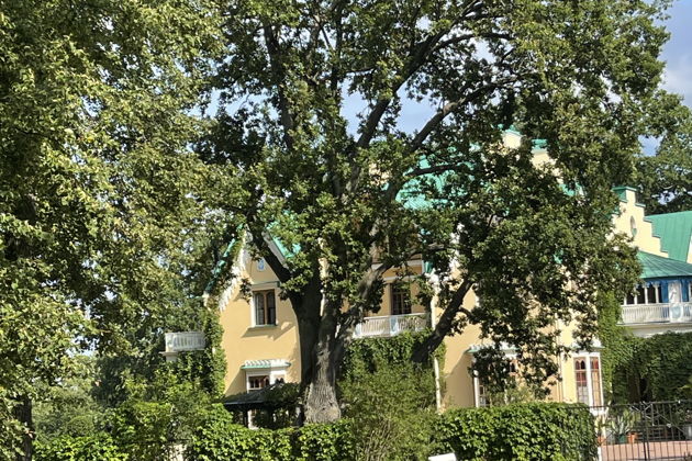 В знаменитый парк Петергофа – Александрию на комфортабельном автомобиле