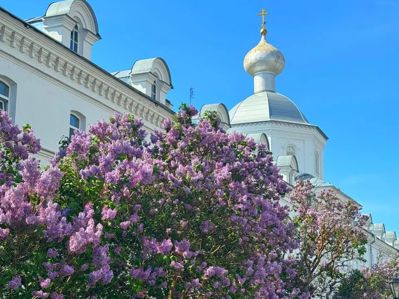 Ладожские шхеры и Валаам — индивидуальное путешествие на катере — фото 2, Сортавала | Покатаем