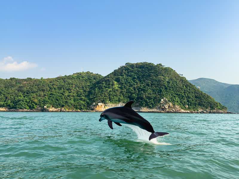 Путешествие на Лантау: Большой Будда, По Лин и деревня Тай О - фото 5