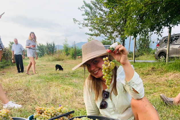 Виды Ртвели в Кахетии: Праздник винограда и вина