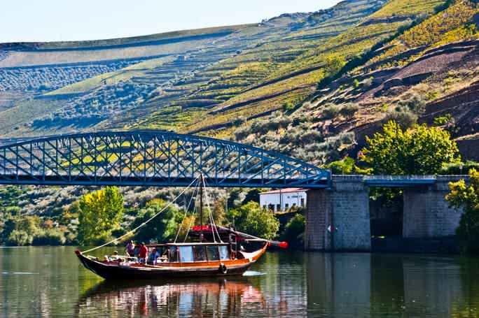 From Porto: Douro Valley Viewpoints and Wineries Day Trip