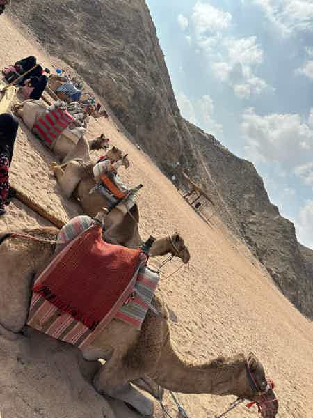 Элитное сафари в аравийской пустыне - фото 5