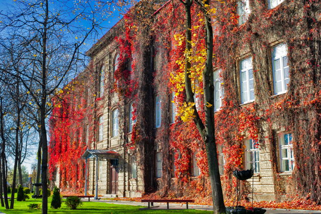 Виды Трансфер Минск — Гродно с посещением Лидского замка