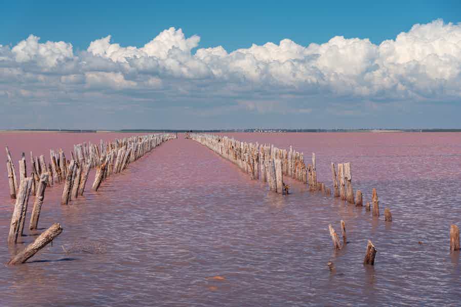 Отдых на розовом озере Сасык-Сиваш  - фото 1