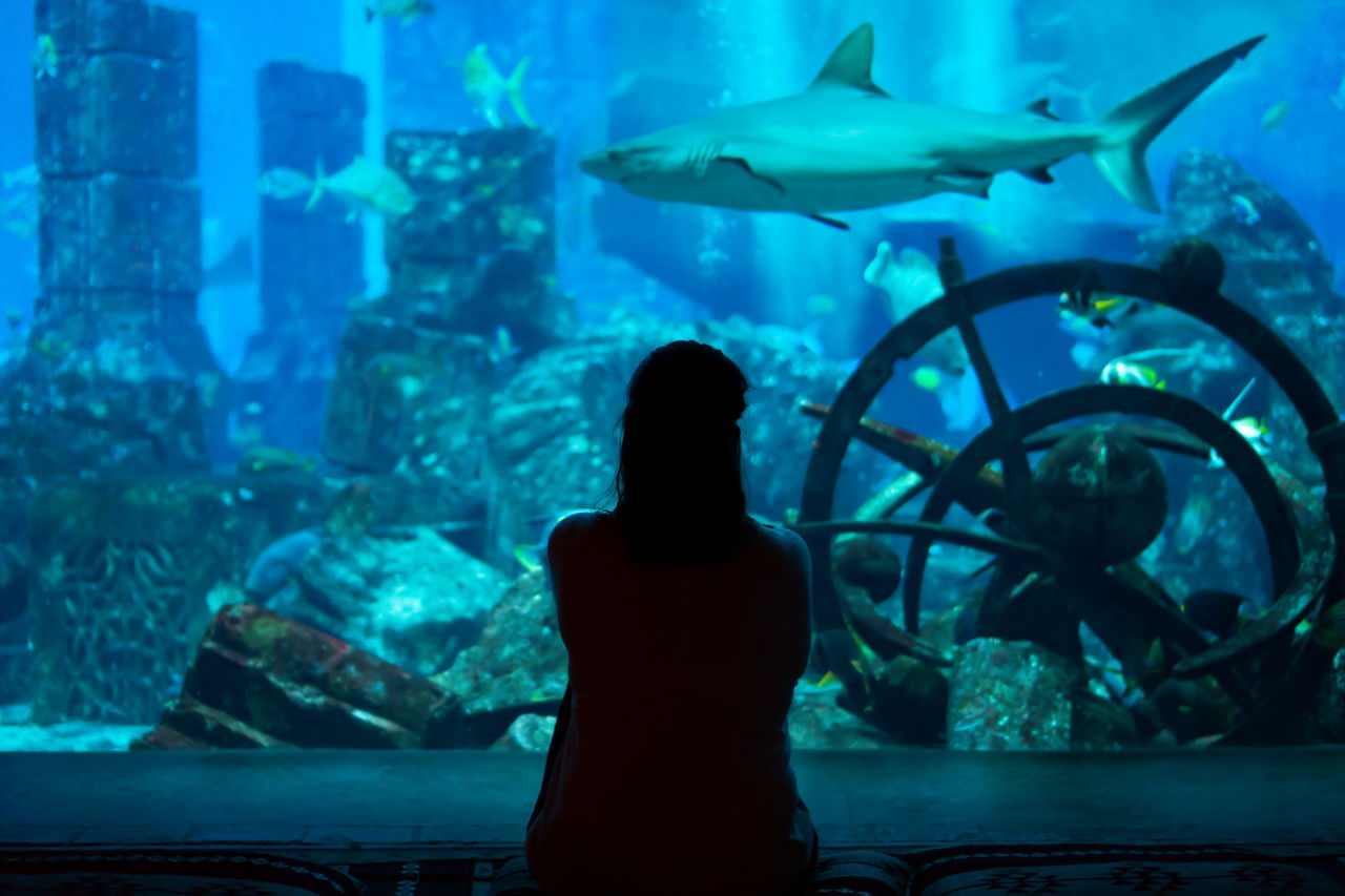 Входной билет в Lost World Aquarium