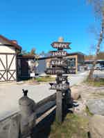 Экскурсия "Куршская коса (Высота Эфа, Танцующий лес) и Зеленоградск с дегустацией" - фото отзыва 1