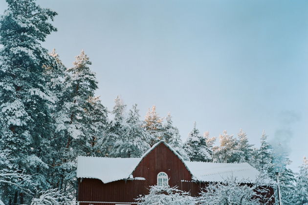 Виды Свечи Святой Люсии на хуторе Милка. Вечернее путешествие перед Рождеством