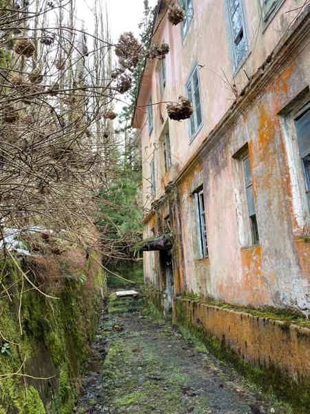 Абхазия во всей красе: города-призраки и парк водопадов - фото 3