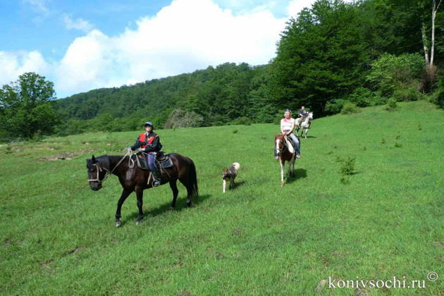 Конные прогулки по живописным местам (Адлер)