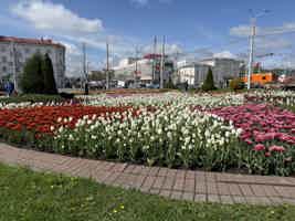 Экскурсия "Классическая обзорная экскурсия по Витебску " - фото отзыва 3