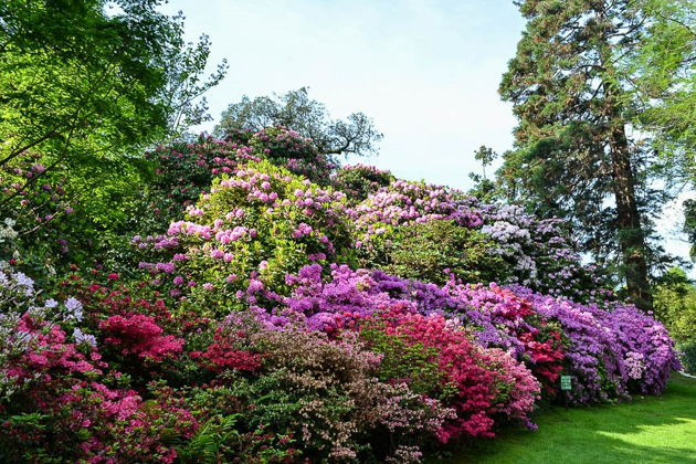 Виды Круиз по райским островам озера Маджоре