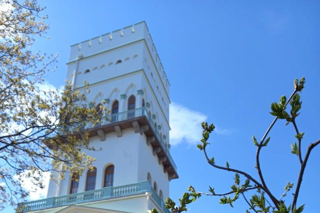 Виды В Екатерининский и Александровский дворцы и парки — на комфортабельном авто