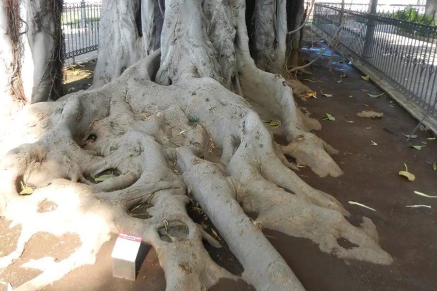 Пикник в кратере — фото 1