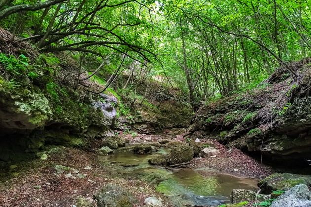 Виды Экскурсия в ущелье Танцующих джинов