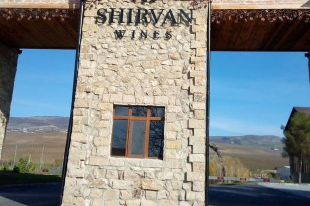 Виды Винный тур и не только: альпаки, древний мавзолей и  обсерватория в горах 