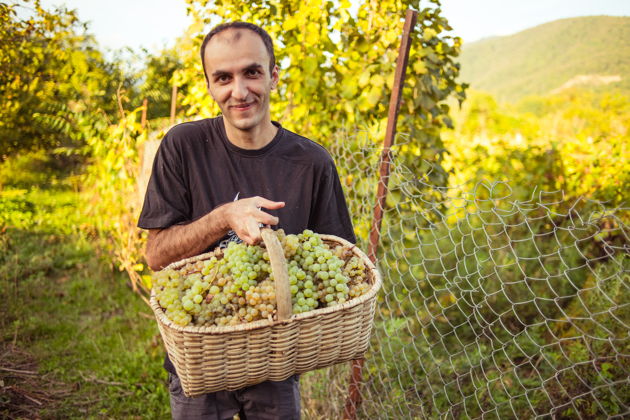 Виды От лозы до тостов: Организованный Ртвели с традиционным застольем