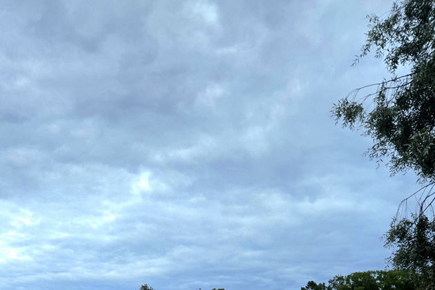 Виды Екатерининский и Александровский парки — билеты включены