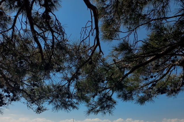 Виды Однодневная треккинг программа к мысу Гелидония-Ликийская тропа