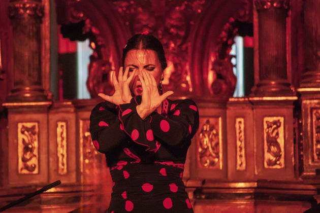 Входной билет на Шоу фламенко - живые танцы и музыка в театре