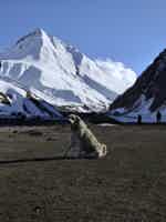 Экскурсия "Казбег — Ананури — Гудаури: легендарные пейзажи" - фото отзыва 1