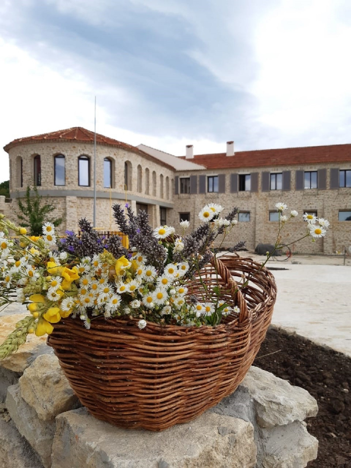 Лучший винный тур Chateau Andre: Прованс — удивительное рядом
