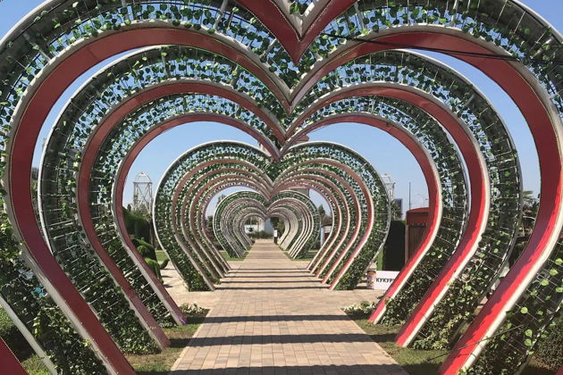 Виды Гостеприимный и радушный Грозный. 