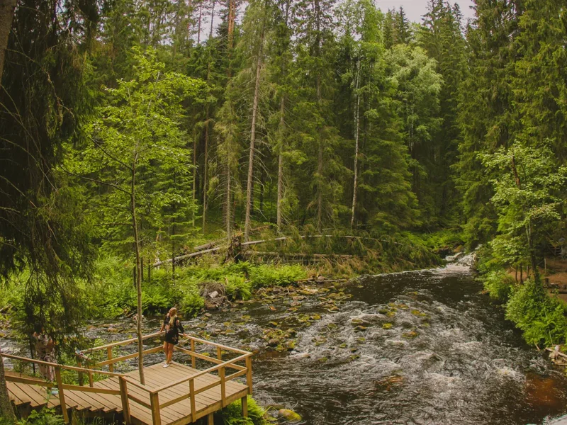 Хиты Карелии: долина водопадов, финская уха и музей в скале — фото 5, Санкт-Петербург | Покатаем