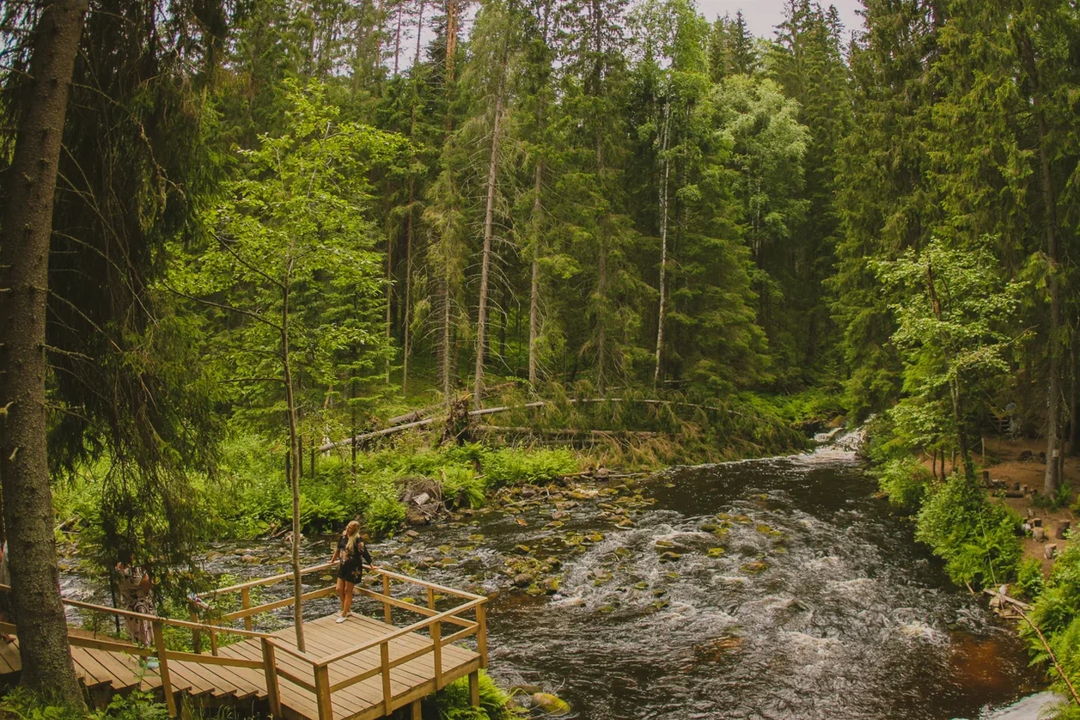 Хиты Карелии: долина водопадов, финская уха и музей в скале — фото 4