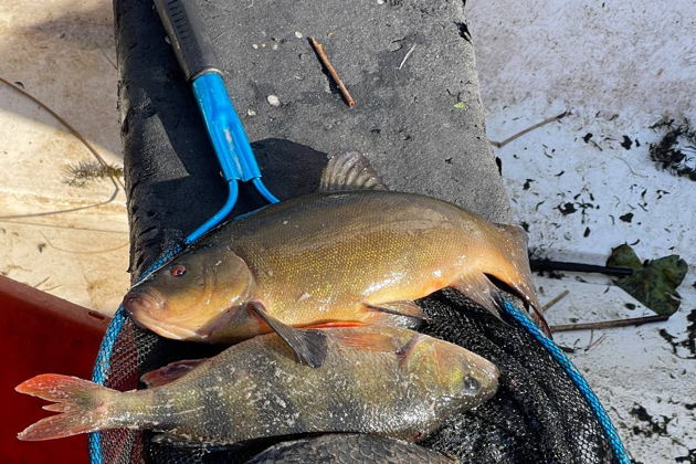 Виды Рыбалка на катере в Выборгском заливе: кордон Кузьмича и окрестности