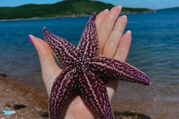 Морской день в Приморье: купание, катер и морепродукты — фото 5