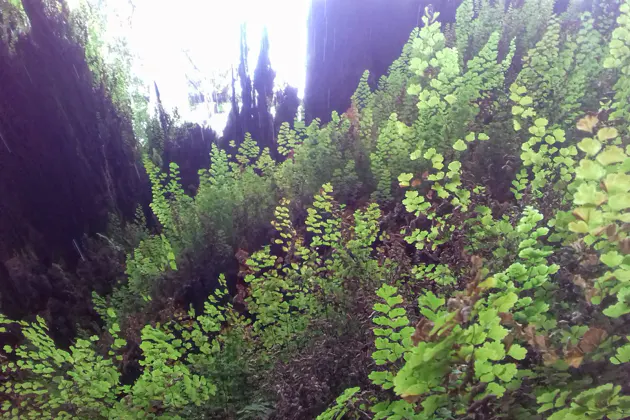 Природa Анталии: водопады — фото 2
