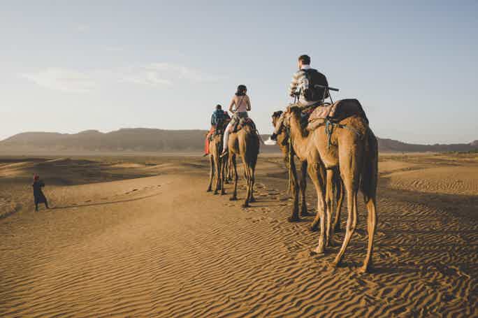 From Marrakesh: Full-Day Mountain & Desert Trip w/ Camel Ride
