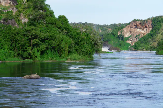 Сафари и треккинг по национальному парку Водопад Мерчисон — фото 2