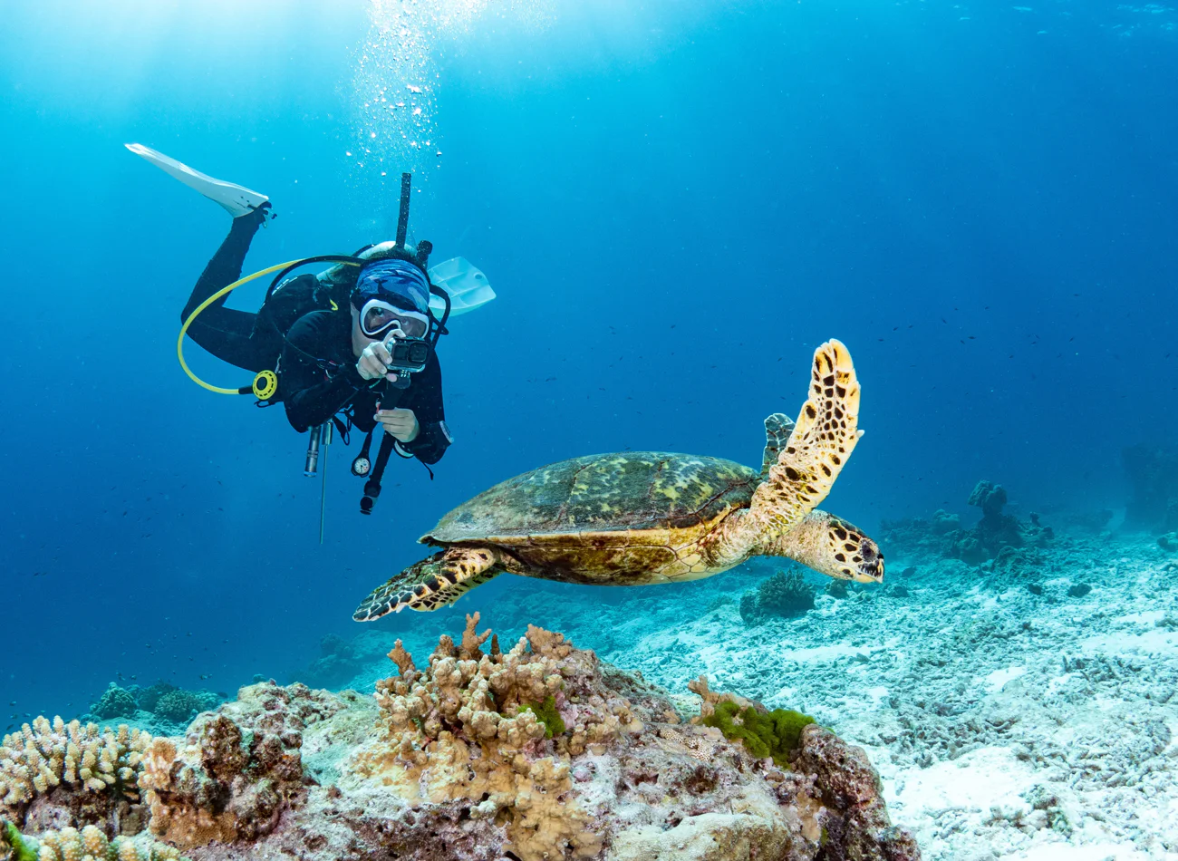 Fujairah scuba experience for certified divers — tour in Fujairah, UAE | Pokataem