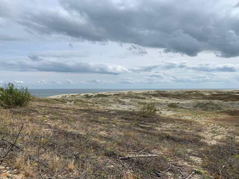 Куршская коса чарующая: на авто с сертифицированным гидом - фото 3