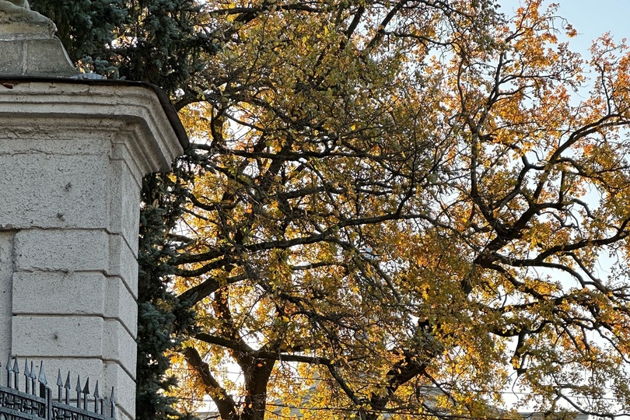 Виды Экспресс-экскурсия по Гродно