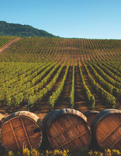 Сердце Кавказа: Большое путешествие в Шемаху и Габалу - фото 5