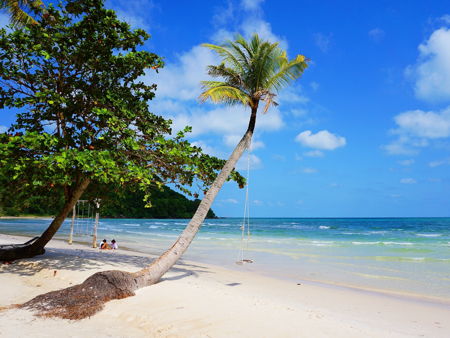 Кокосовая тюрьма