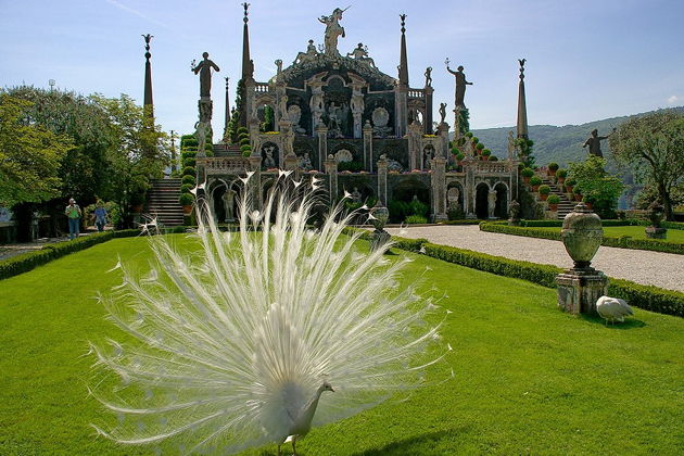 Виды Круиз по райским островам озера Маджоре