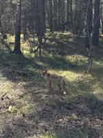 Экскурсия "Путешествие к белым дюнам и синему морю" - фото отзыва 1