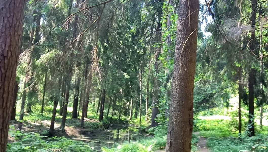 В Сестрорецк и Репино: море, старинные дачи и вдохновение... - фото 2