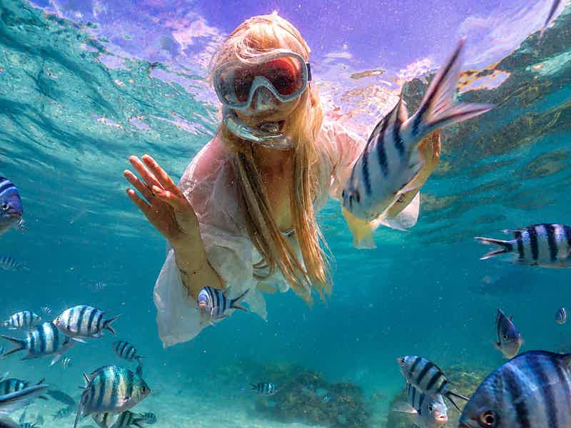 Подводная одиссея в Сиамском заливе - фото 2